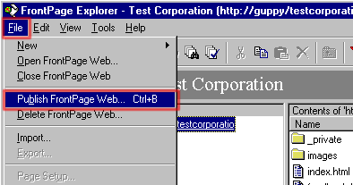 PUBLISH1.GIF (7099 bytes)