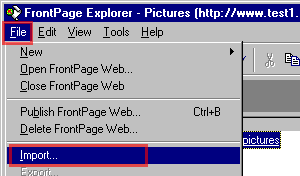 IMPORT1.GIF (4306 bytes)